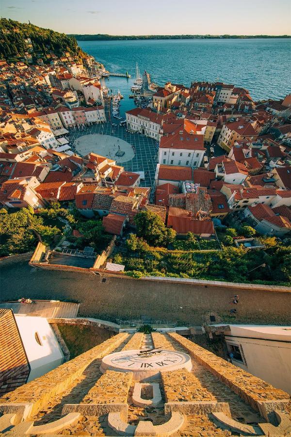 Tantadruj Piran